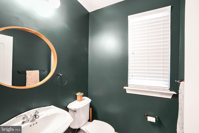 bathroom featuring a sink and toilet