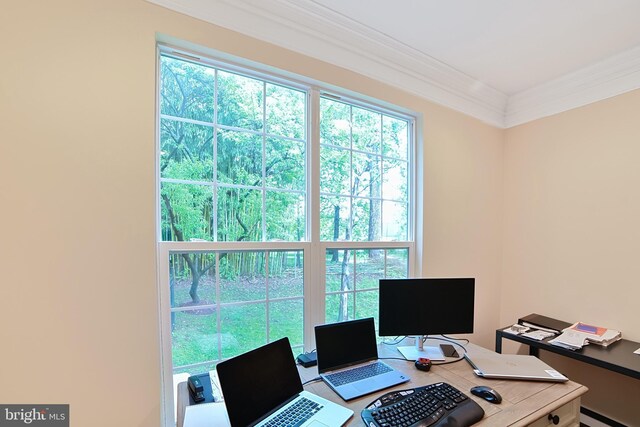 office area with crown molding and a baseboard radiator