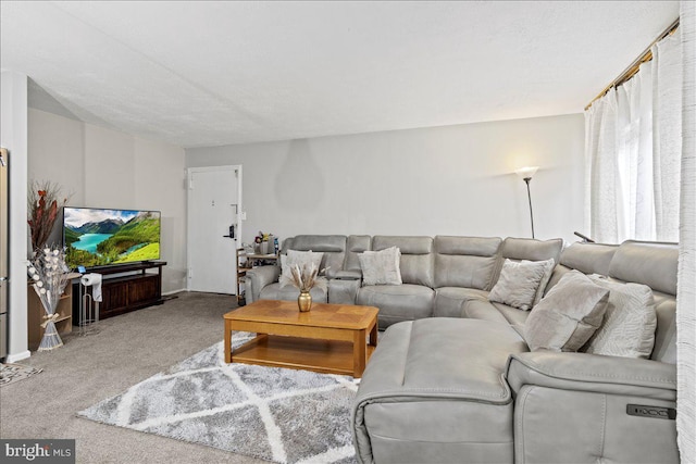 living room featuring carpet
