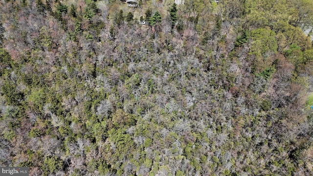 LOT624 Laurel Rd, Pocono Summit, PA 18346