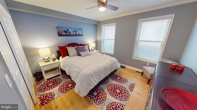 306 S Exeter St, Baltimore, MD 21202 - bedroom featuring light wood-style flooring, crown molding, baseboards, and a ceiling fan