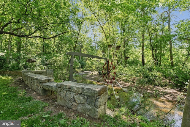 2277 Indian Holw, Winchester, VA 22603 - view of undeveloped land