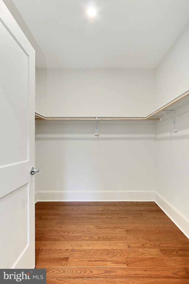 7430 Foundation Way, Springfield, VA 22150 - walk in closet featuring light wood-style flooring
