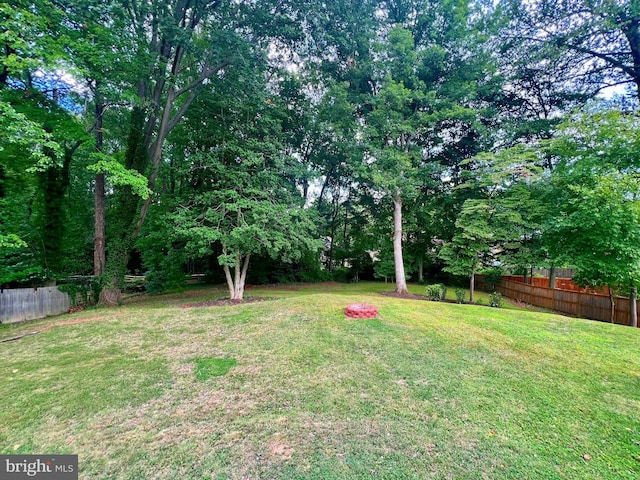 view of yard