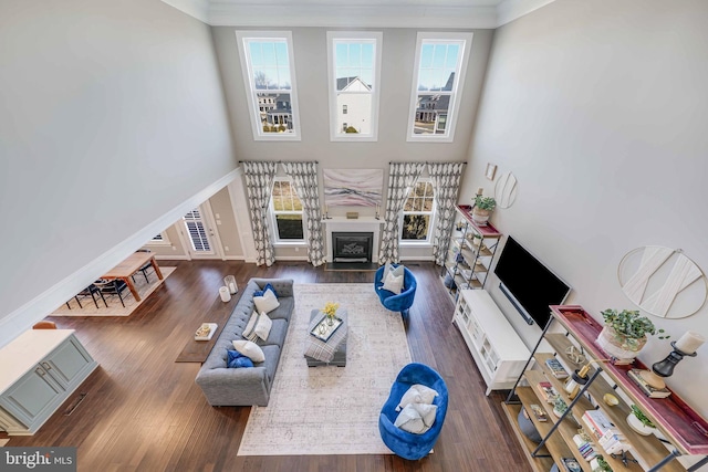 living area featuring crown molding, plenty of natural light, wood finished floors, a towering ceiling, and baseboards
