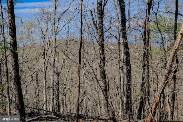 view of woods