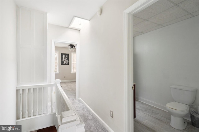 15 N Belnord Ave, Baltimore, MD 21224 - corridor with a skylight, a paneled ceiling, and wood finished floors