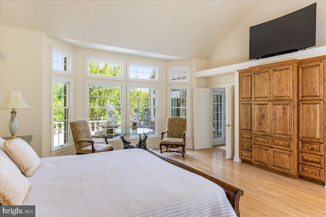 2630 Eagle Ln, Hellertown, PA 18055 - bedroom featuring high vaulted ceiling and light wood finished floors