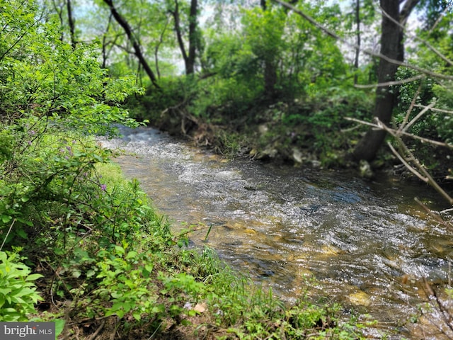 13337 Rowe Rd, Smithsburg, MD 21783 - view of undeveloped land