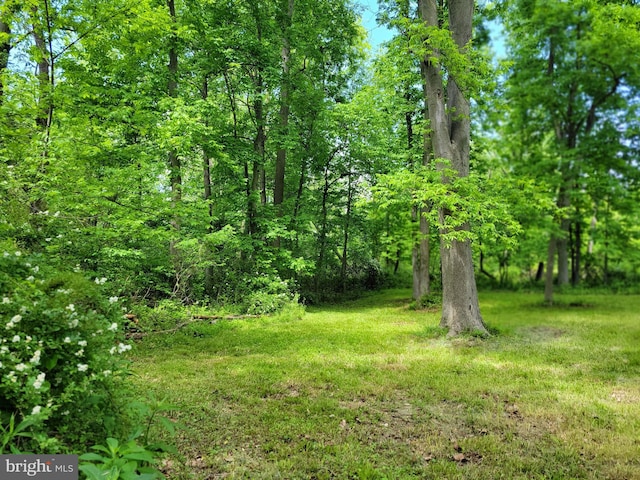 13337 Rowe Rd, Smithsburg, MD 21783 - view of undeveloped land