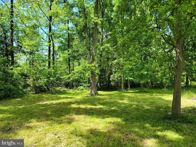 13337 Rowe Rd, Smithsburg, MD 21783 - view of green lawn