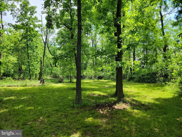 13337 Rowe Rd, Smithsburg, MD 21783 - view of green lawn