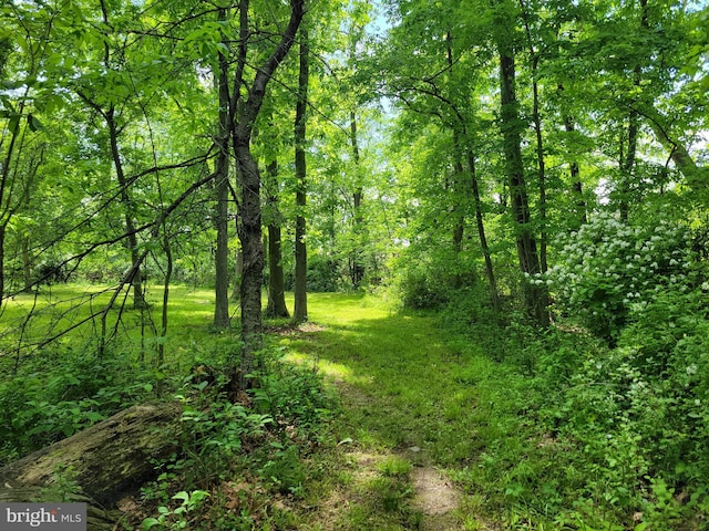 13337 Rowe Rd, Smithsburg, MD 21783 - view of woods