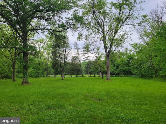 13337 Rowe Rd, Smithsburg, MD 21783 - view of green lawn