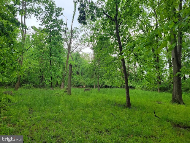 13337 Rowe Rd, Smithsburg, MD 21783 - view of wooded area