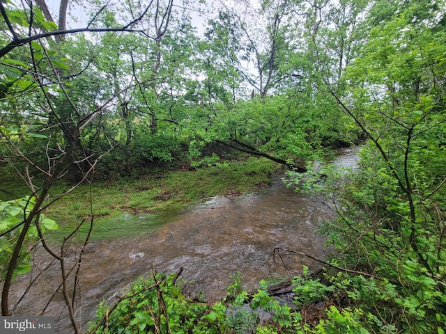 13337 Rowe Rd, Smithsburg, MD 21783 - view of local wilderness