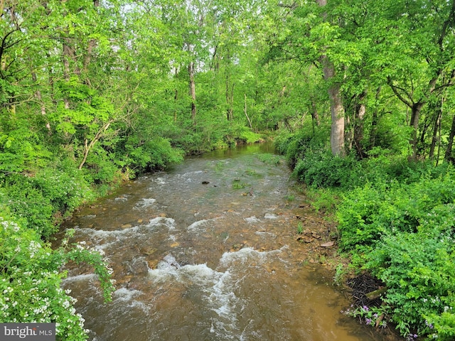 13337 Rowe Rd, Smithsburg, MD 21783 - view of local wilderness