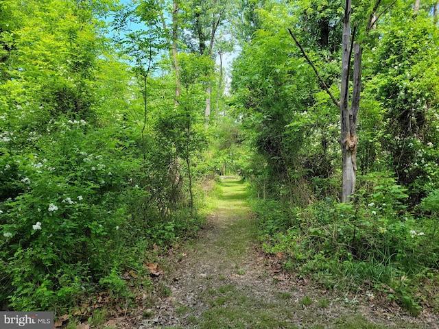 13337 Rowe Rd, Smithsburg, MD 21783 - view of nature