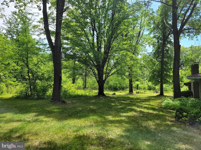 13337 Rowe Rd, Smithsburg, MD 21783 - view of grassy yard