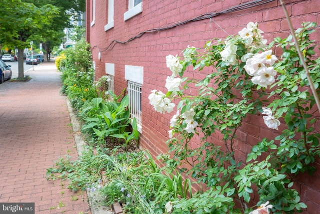 view of home's exterior featuring brick siding