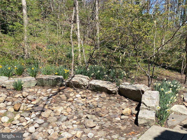 1647 Preston Rd, Alexandria, VA 22302 - view of nature