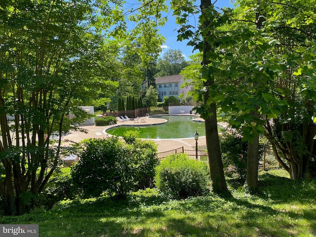 1647 Preston Rd, Alexandria, VA 22302 - view of community with view of scattered trees