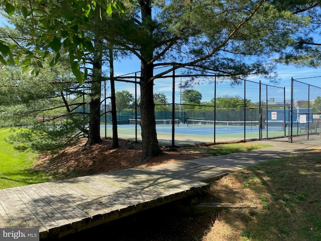 1647 Preston Rd, Alexandria, VA 22302 - view of tennis court