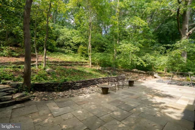 1647 Preston Rd, Alexandria, VA 22302 - view of patio featuring a view of trees