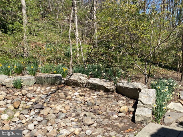 1647 Preston Rd, Alexandria, VA 22302 - view of nature