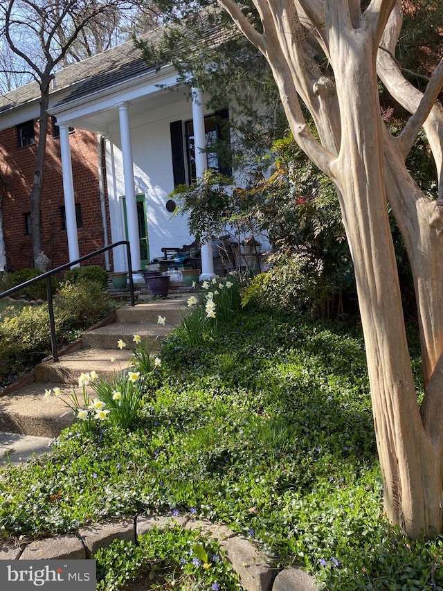 1647 Preston Rd, Alexandria, VA 22302 - view of yard with covered porch