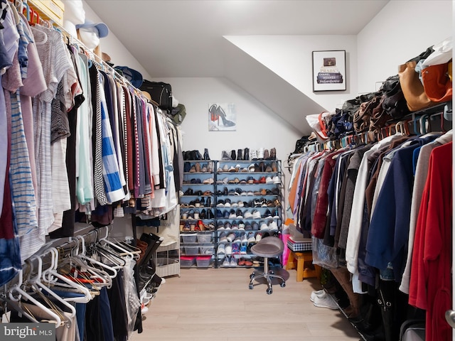 832 Red Maple Rd, Smyrna, DE 19977 - spacious closet with wood finished floors and vaulted ceiling