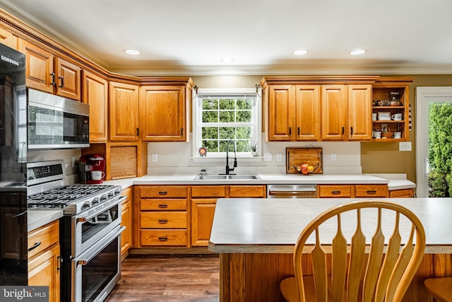 41 Diane Dr, Honey Brook, PA 19344 - kitchen with stainless steel appliances, a sink, crown molding, light countertops, and plenty of natural light