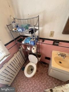 bathroom with toilet and vanity