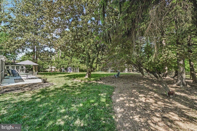 view of grassy yard with a patio