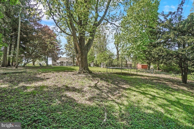 view of grassy yard featuring a trampoline