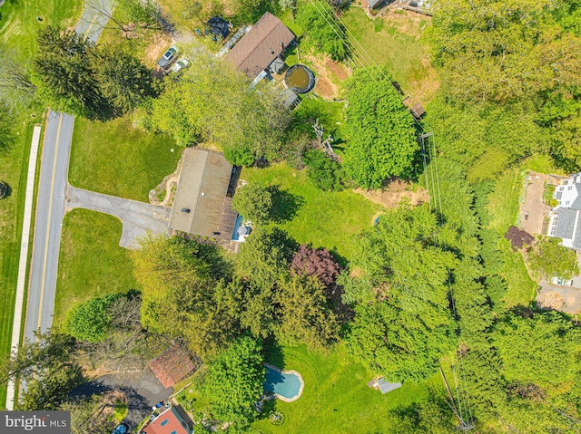 bird's eye view