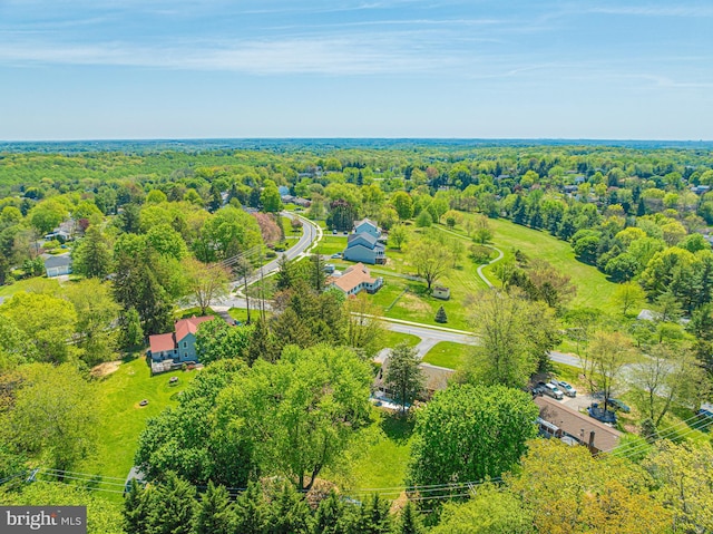 aerial view of a forest