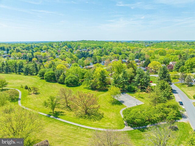 aerial view