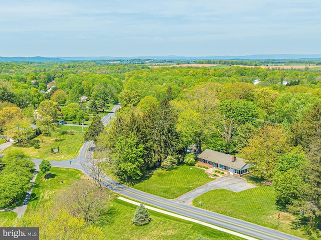 drone / aerial view of a heavily wooded area