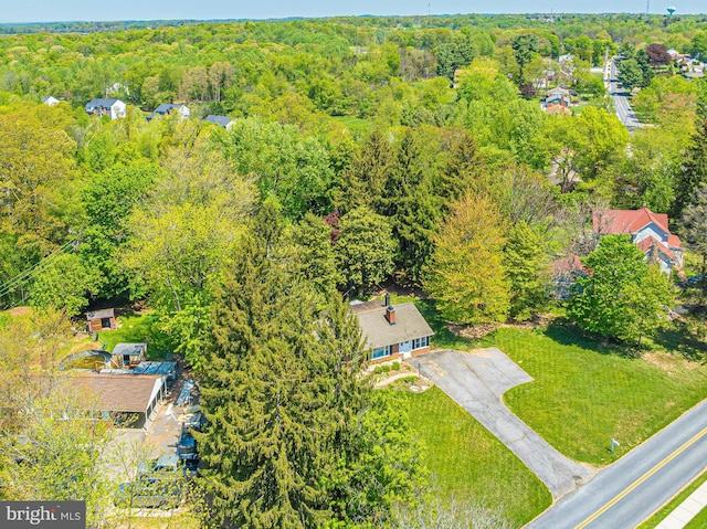 bird's eye view of a forest