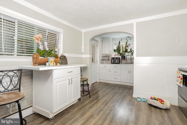 519 N 2nd St, Columbia, PA 17512 - kitchen with wainscoting, white cabinetry, arched walkways, light countertops, and dark wood-style flooring