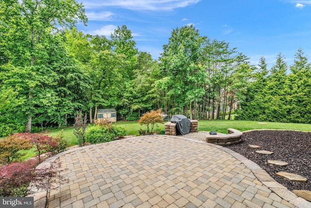 5513 Notched Beak Ct, Waldorf, MD 20601 - view of patio with an outdoor structure and grilling area
