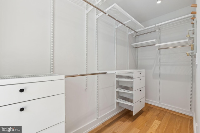 spacious closet with light wood-style flooring