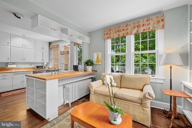 kitchen with butcher block countertops, open shelves, white cabinetry, a sink, and radiator