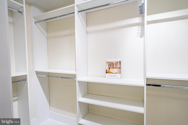 view of walk in closet