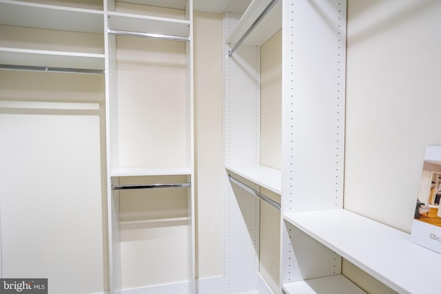 view of walk in closet