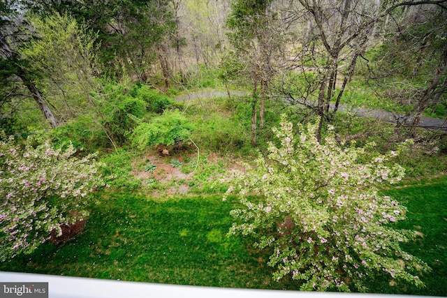 view of nature
