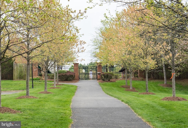 view of property's community featuring a gate