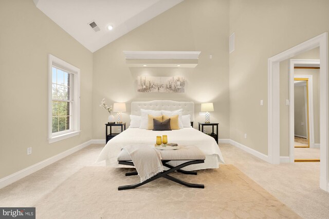 2221 N Oak Ct, Arlington, VA 22209 - carpeted bedroom with high vaulted ceiling and baseboards