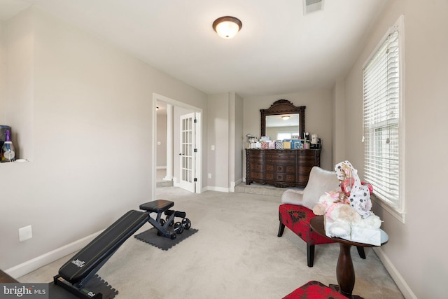 18309 Eldorado Way, Leesburg, VA 20176 - exercise room with carpet floors, baseboards, and french doors